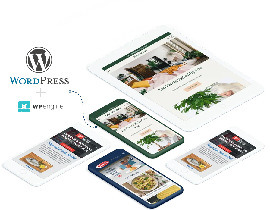 WordPress   開發 - kaiyun